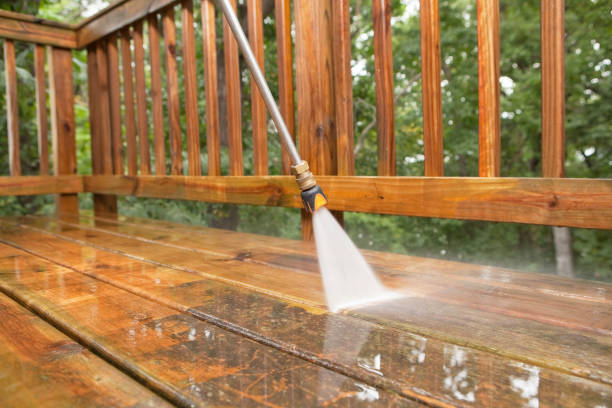Best Dumpster Area Cleaning  in Lake Sconsin, WI